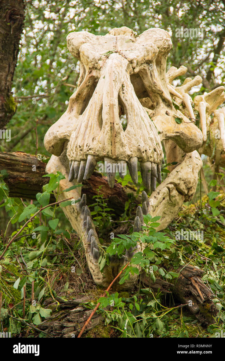 Saurier im Wald Stockfoto