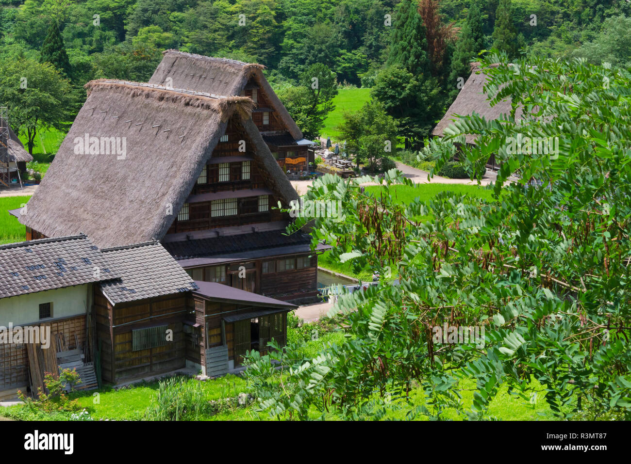 Gassho-Zukuri Häuser in den Bergen, Suganuma Dorf, Gokayama, Präfektur Toyama, Japan Stockfoto