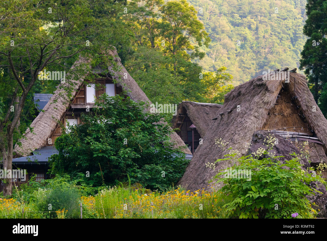 Gassho-Zukuri Haus in den Bergen, Ainokura Dorf, Gokayama, Präfektur Toyama, Japan Stockfoto