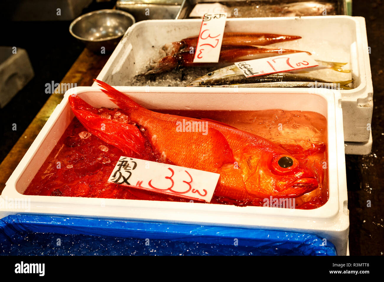 Tokio, Japan. Fisch zum Verkauf an Tsukiji Fischmarkt Stockfoto