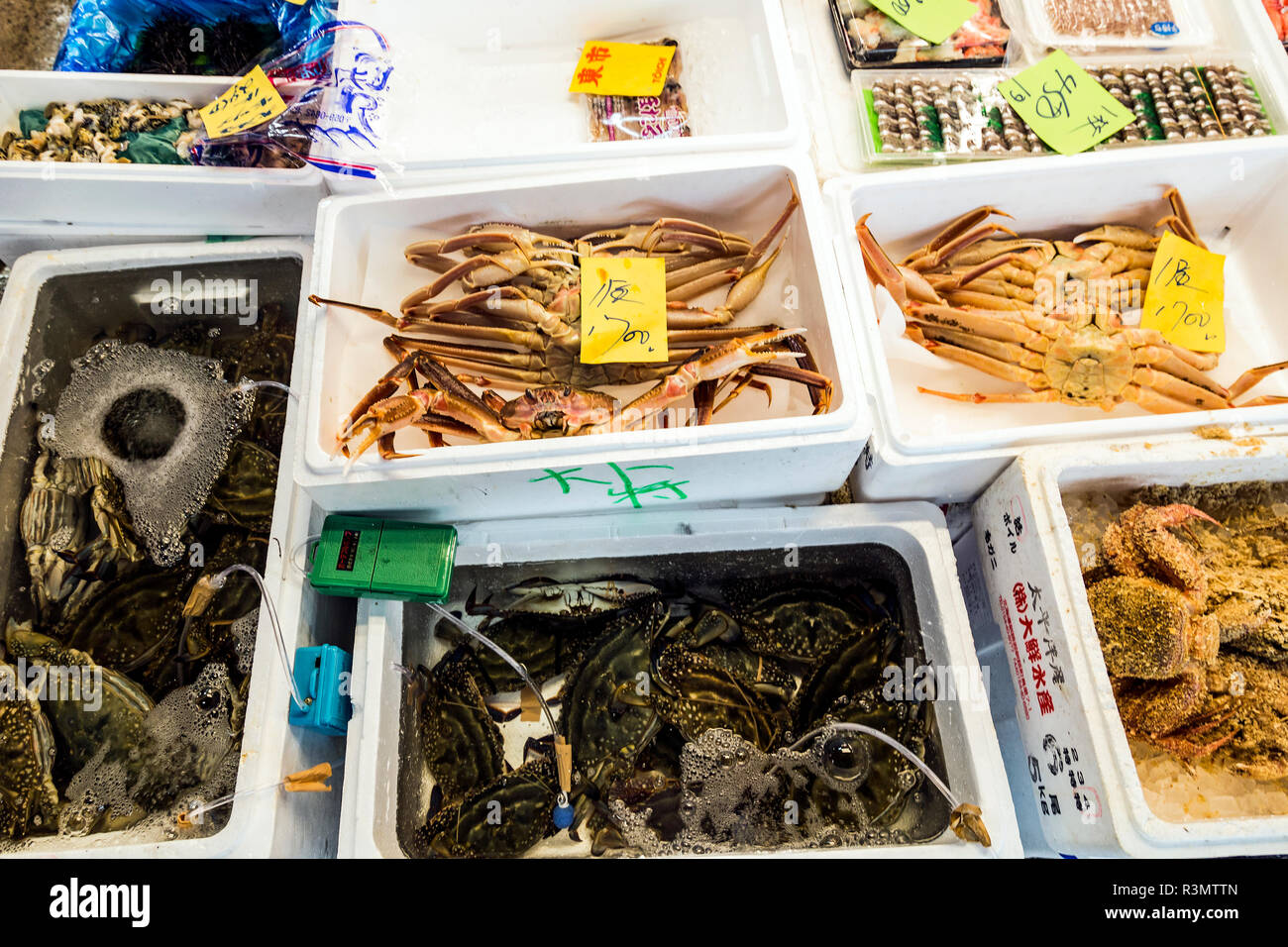 Tokio, Japan. Fisch und Meeresfrüchte für Verkauf an den Tsukiji Fischmarkt Stockfoto
