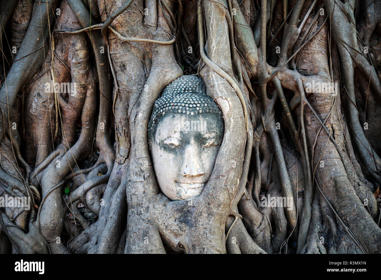 Ayutthaya, Thailand. Sandstein Leiter der Buddha im Wat Phra Mahathat, Ayutthaya Historical Park, in der Nähe von Bangkok Stockfoto