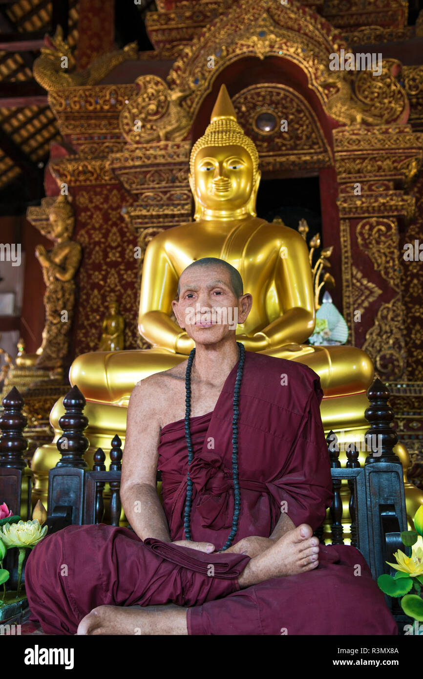 Chiang Mai, Thailand. Wat Pra Singh Wachsfigur von einem buddhistischen Mönch Stockfoto