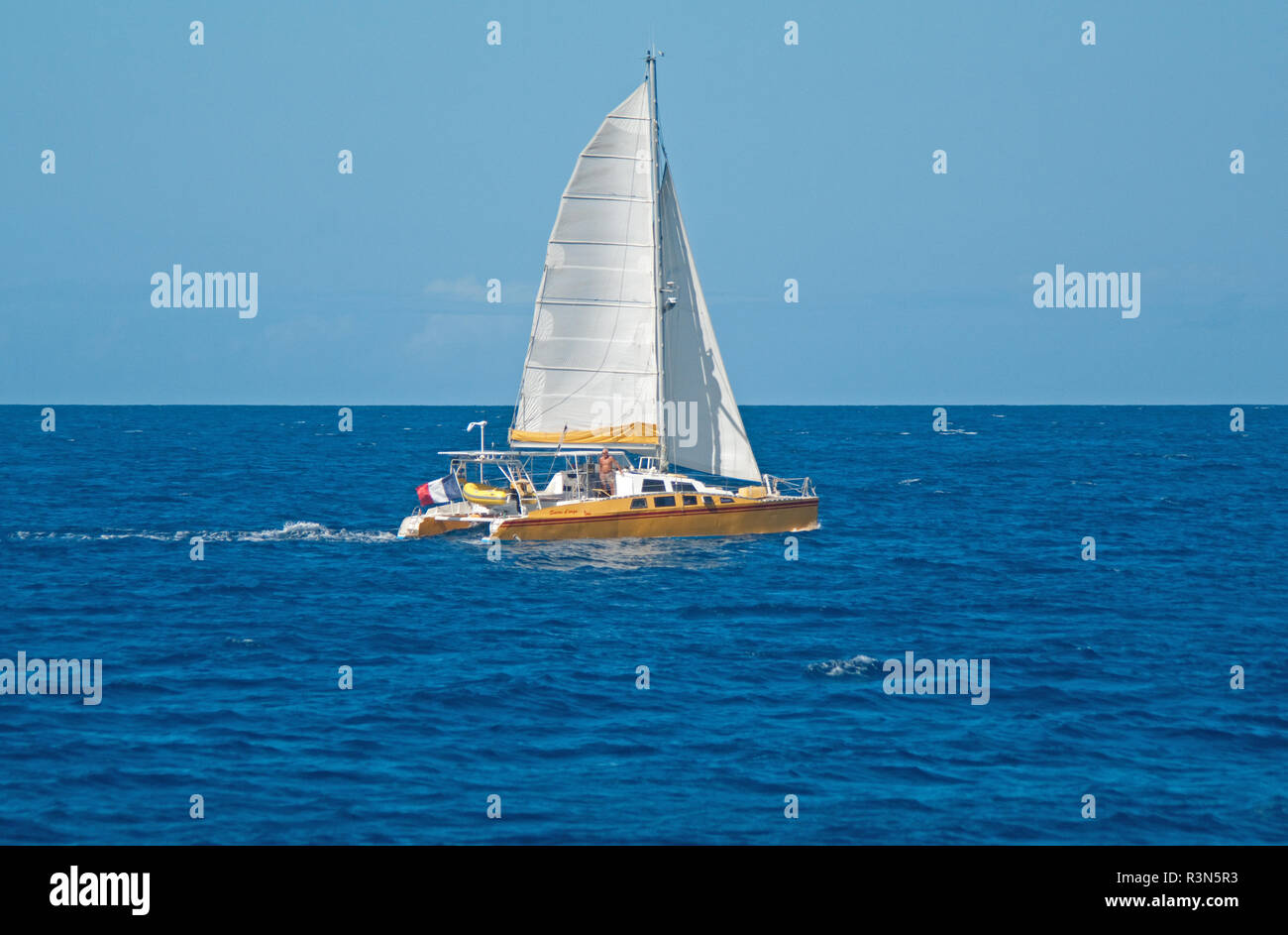Dominica, Windward Island, Karibik, Westindien, Segelkatamaran auf See Stockfoto