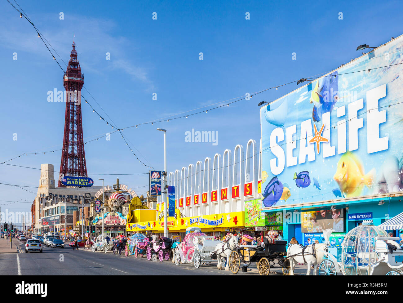 Blackpool Tower Strand Strandpromenade mit Sealife Center Vergnügungen und Pferdewagen, Blackpool Lancashire England GB UK Europa Stockfoto