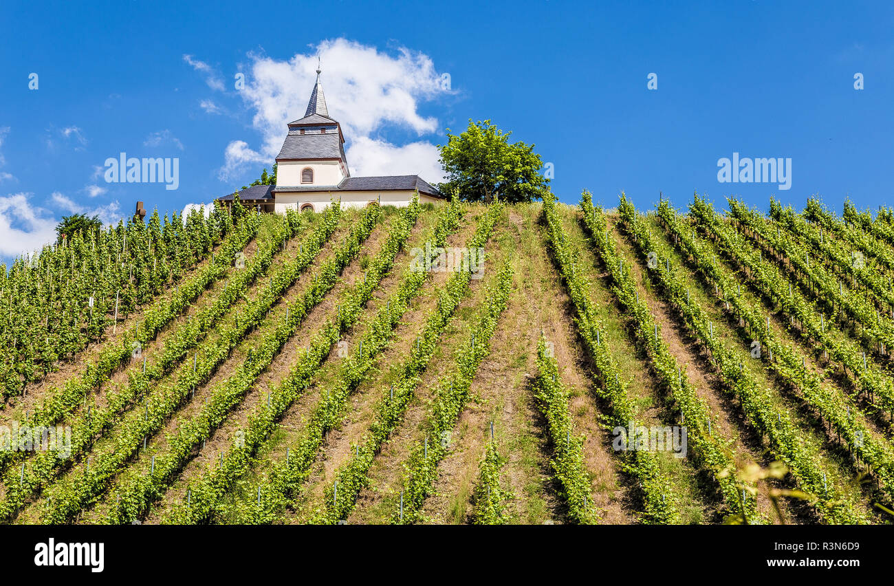 Laurentiuskapelle in Trittenheim an der Mosel Rheinland-Pfalz Deutschland. Stockfoto