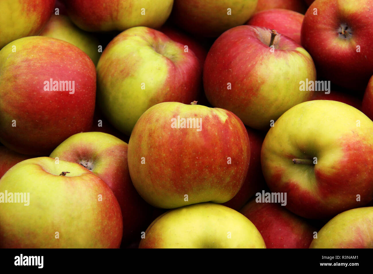 Äpfel der Sorte Jonagold am Bau Markt Stockfoto