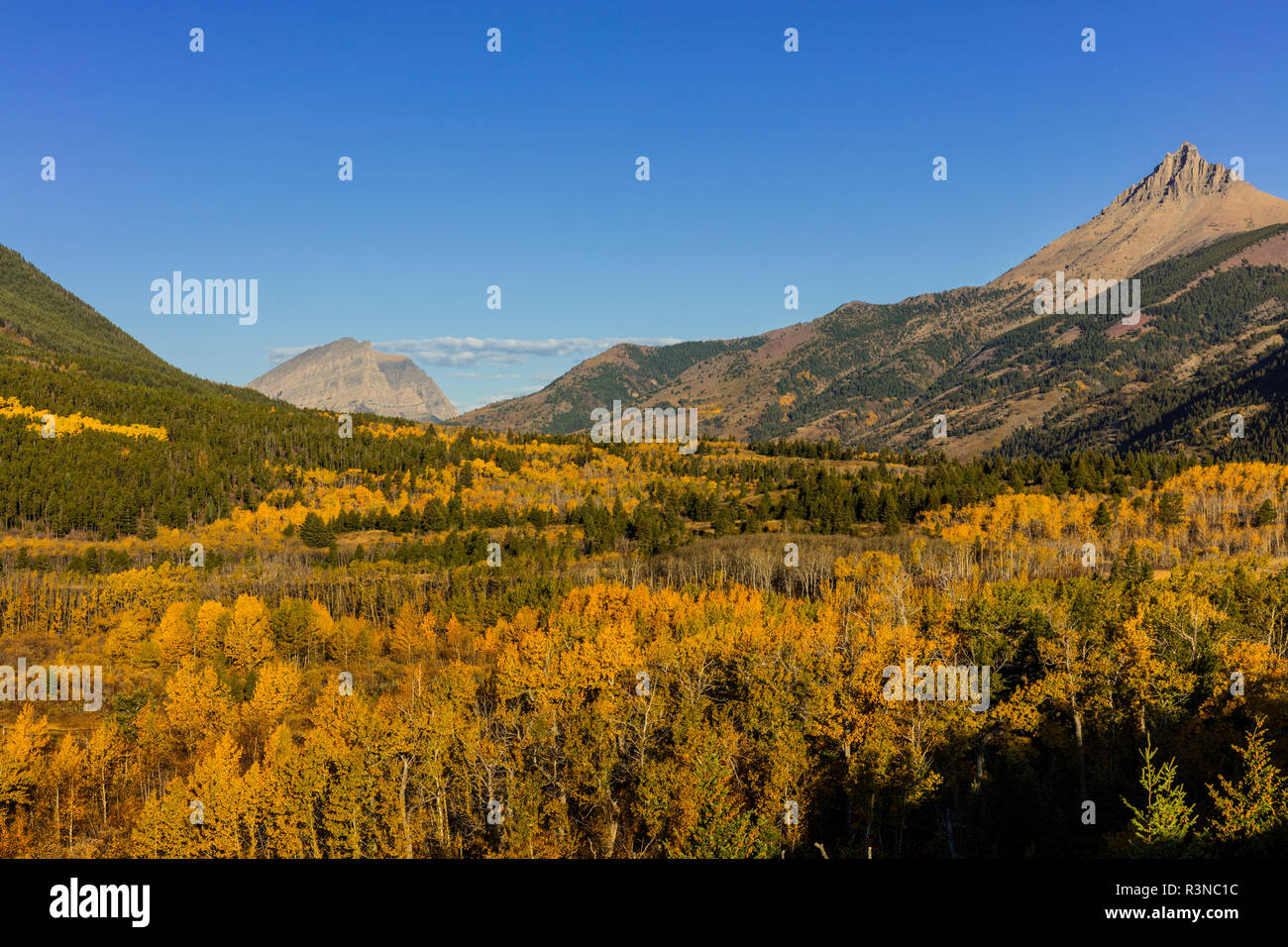 Blakiston Creek im Herbst in Waterton Lakes National Park, Alberta, Kanada Stockfoto