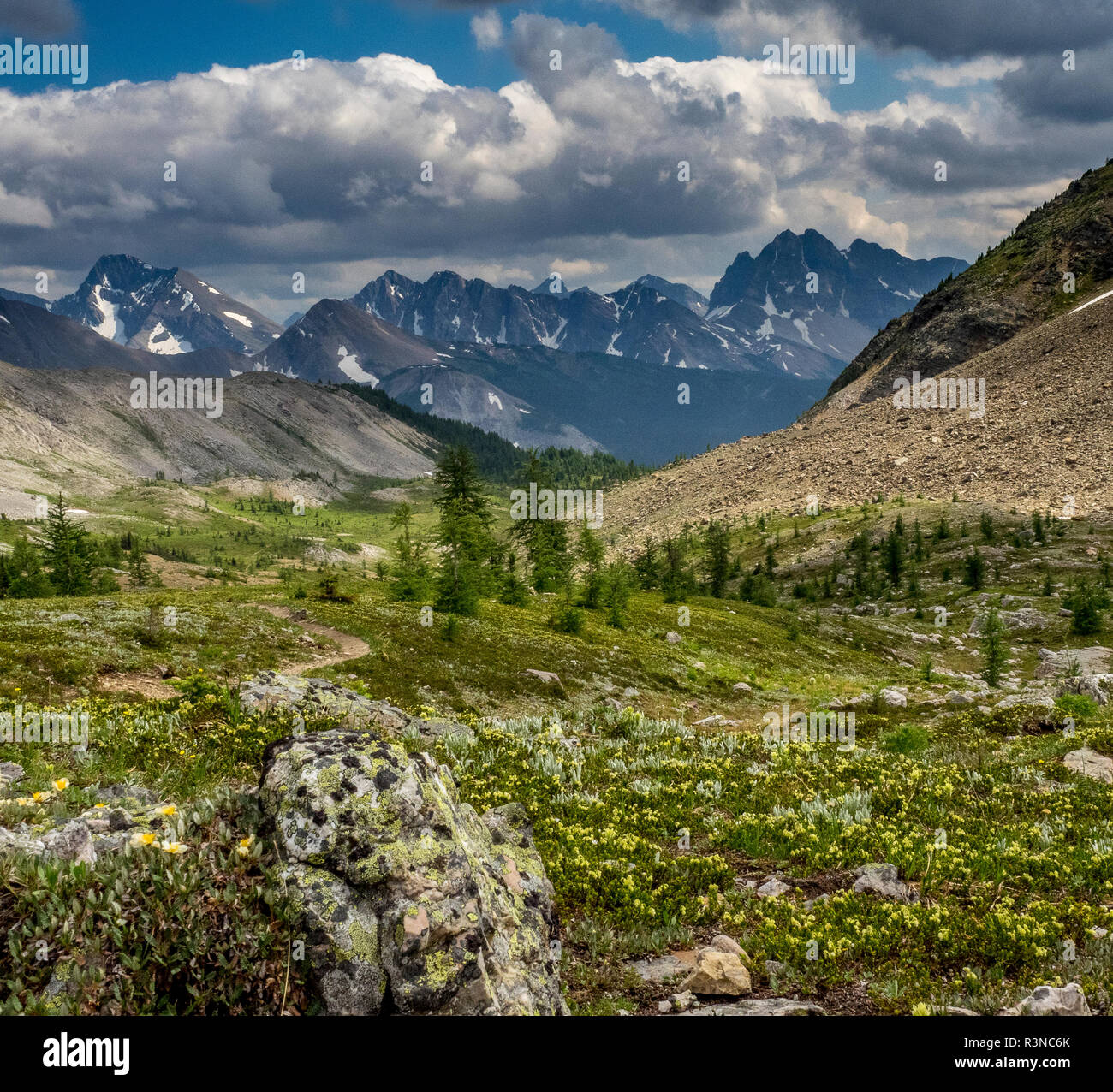 Blick auf das Tal des Banff National Park Mount Assiniboine, Provincial Park Stockfoto