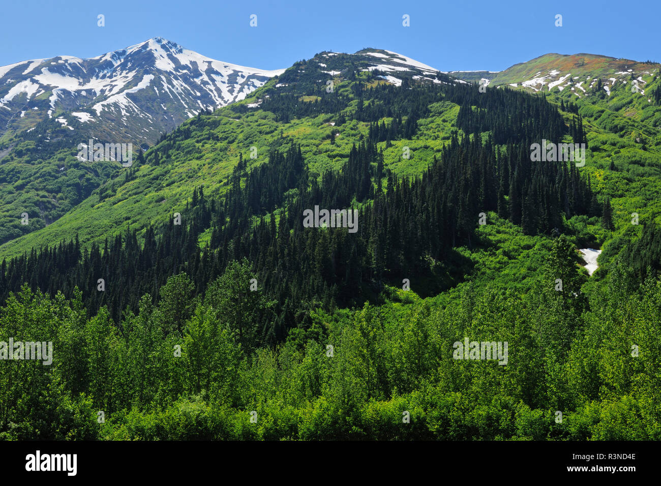 Kanada, British Columbia. Coast Mountains Landschaft. Stockfoto