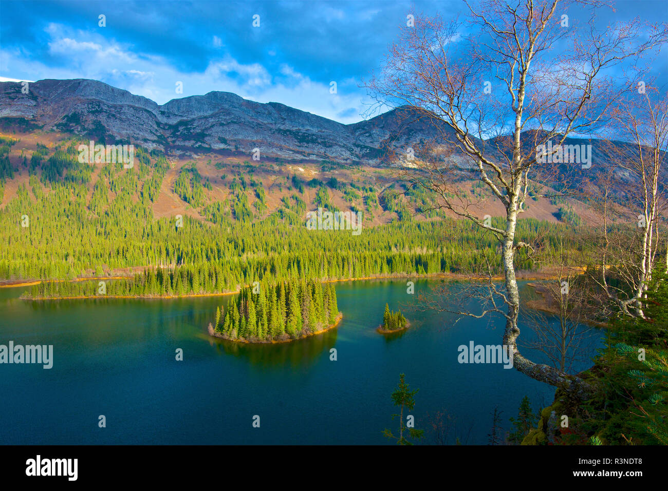 Azouzetta See und der Murray in Pine Pass auf dem Highway 97, der Hart-Highway im Norden British Columbia Stockfoto
