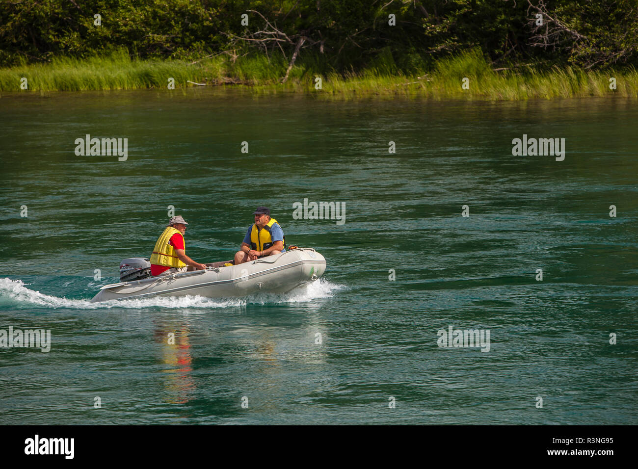 Kanada, Yukon, Whitehorse. Sparren auf dem Yukon River. Stockfoto