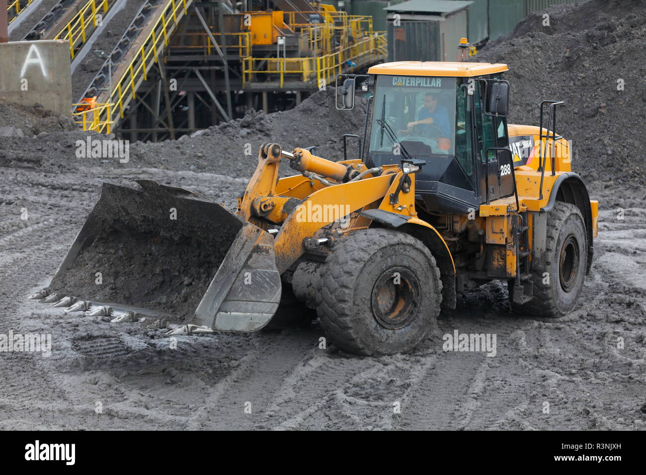 Eine Raupe mit Rädern laden Schaufel auf der Recycoal, Kohle Recycling Website in Rossington, Doncaster, die für das Beladen von Lastwagen- und Güterzüge eingesetzt werden. Stockfoto