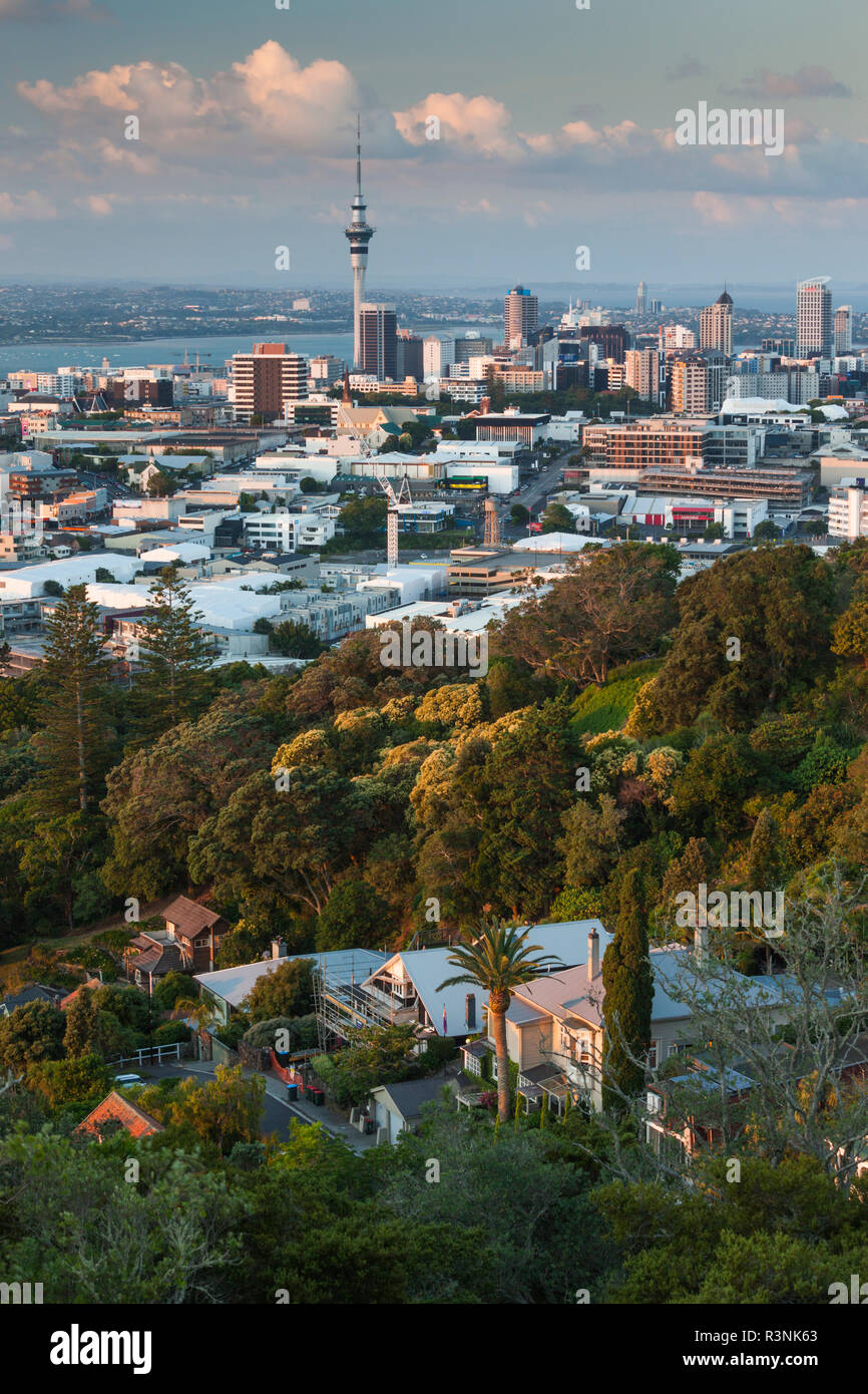 Neuseeland, Nordinsel, Auckland. Erhöhte Skyline von Mt. Eden Vulkankegel Stockfoto