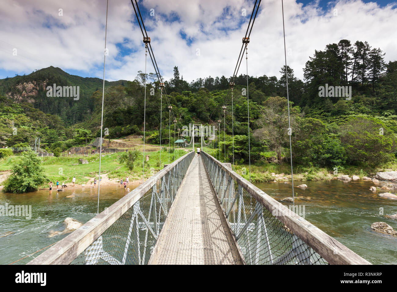 Neuseeland, Nordinsel, Coromandel Halbinsel. Karangahake Gorge, Swinging Bridge Stockfoto