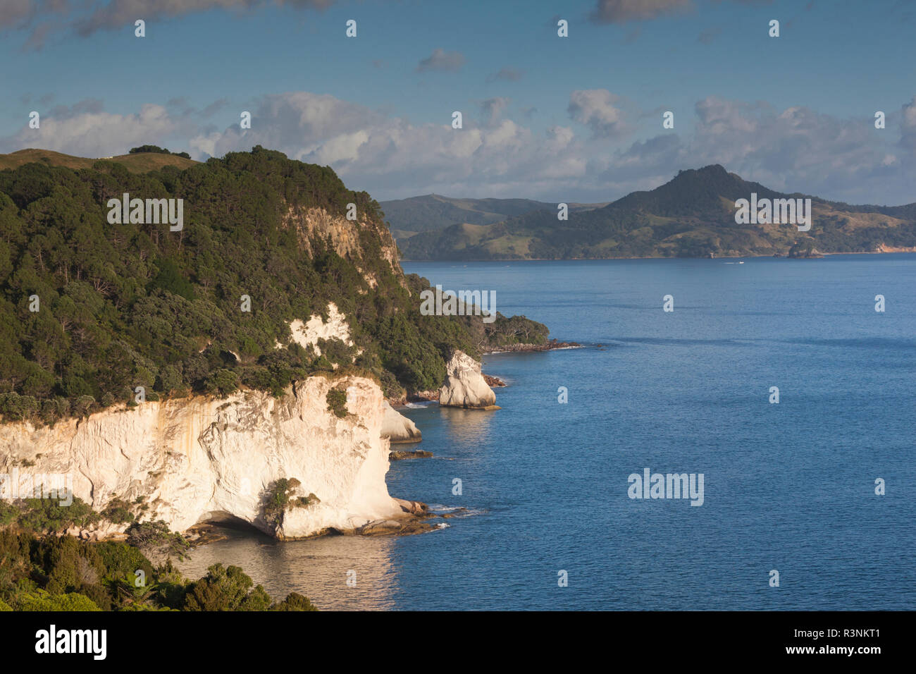 Neuseeland, Nordinsel, Coromandel Halbinsel. Hahei, erhöhte Blick in Richtung Cathedral Cove Stockfoto