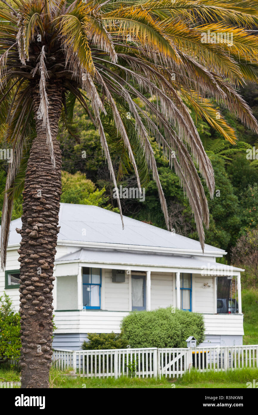 Neuseeland, Nordinsel, Coromandel Halbinsel. Themse, Haus detail Stockfoto