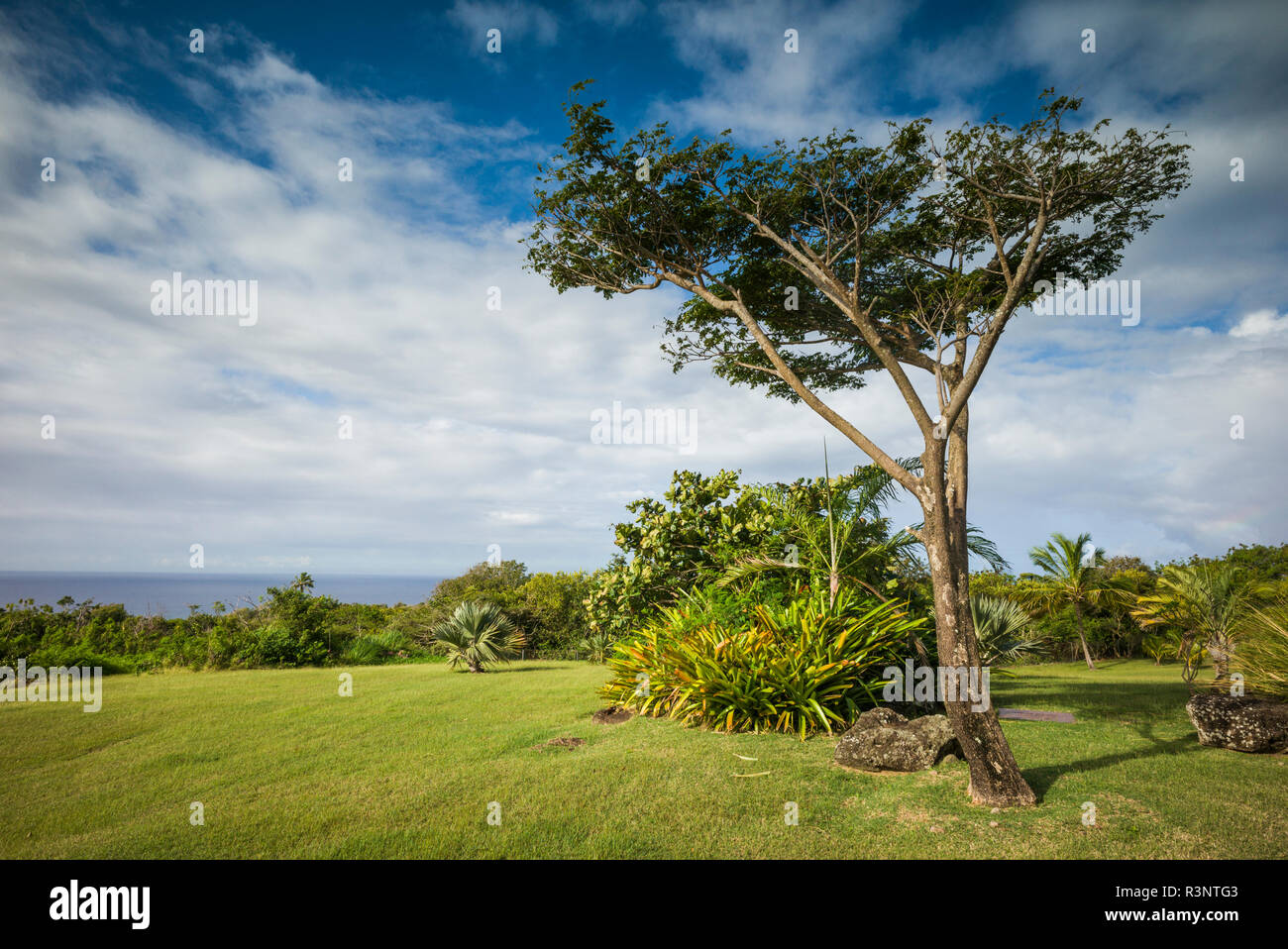 St. Kitts und Nevis, Nevis. Cole Hill, Feld Stockfoto