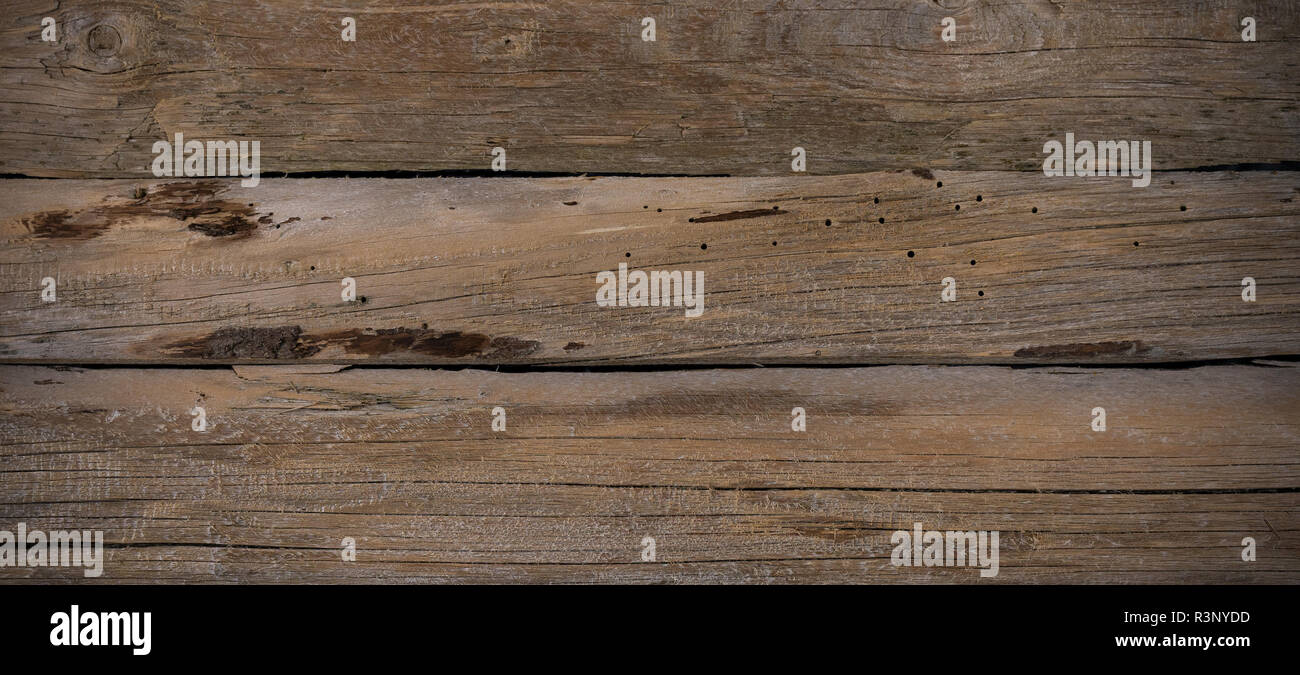 Alte, verwitterte Holzbretter mit schöner Patina bilden einen Hintergrund für die dekorative Gestaltung. Stockfoto