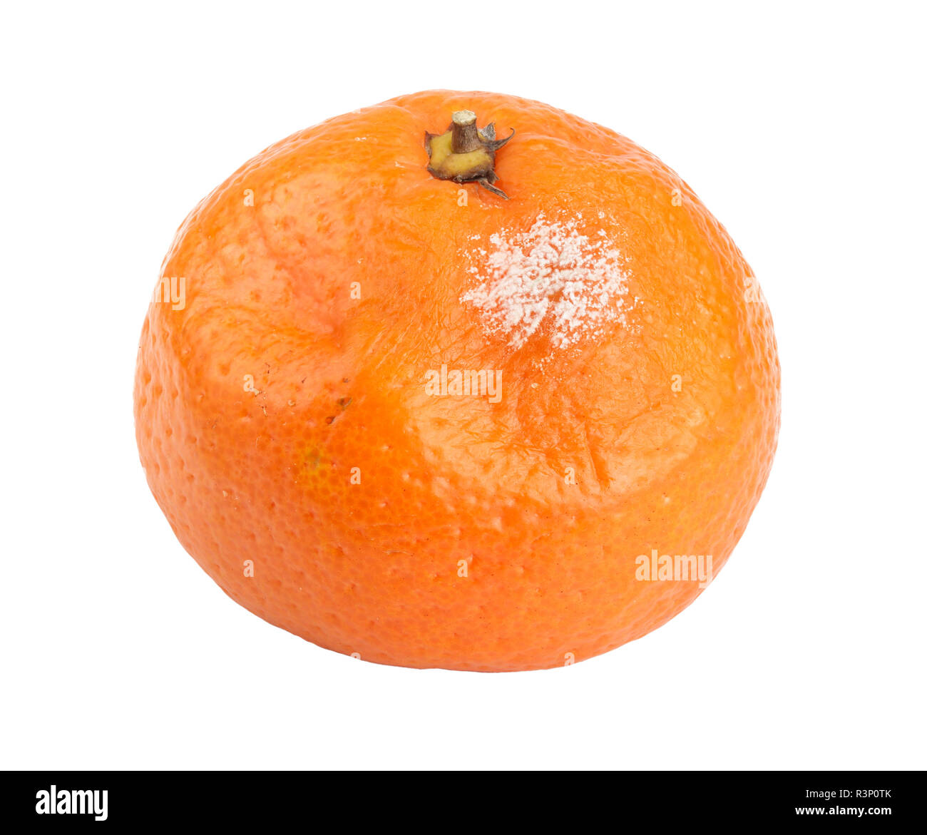 Eine verschimmelte Mandarine auf weißem Hintergrund Stockfoto