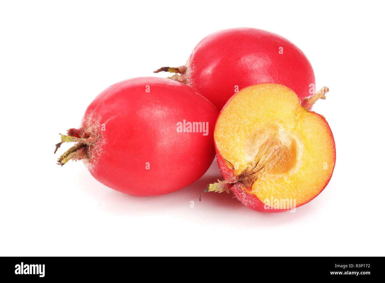 Hawthorn Berry auf weißem Hintergrund schließen isoliert - oben Stockfoto