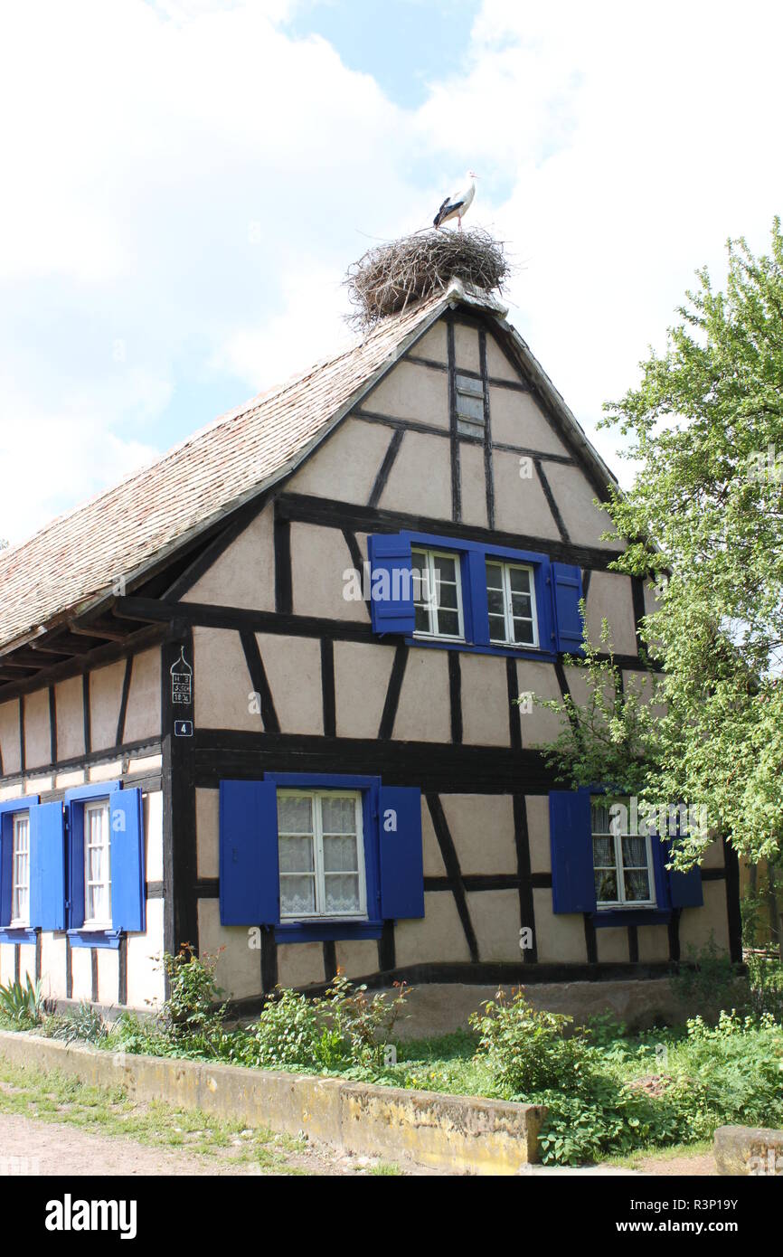 Historisches Fachwerkhaus mit dem Storchennest auf dem Dach. Elsass, Frankreich. Stockfoto