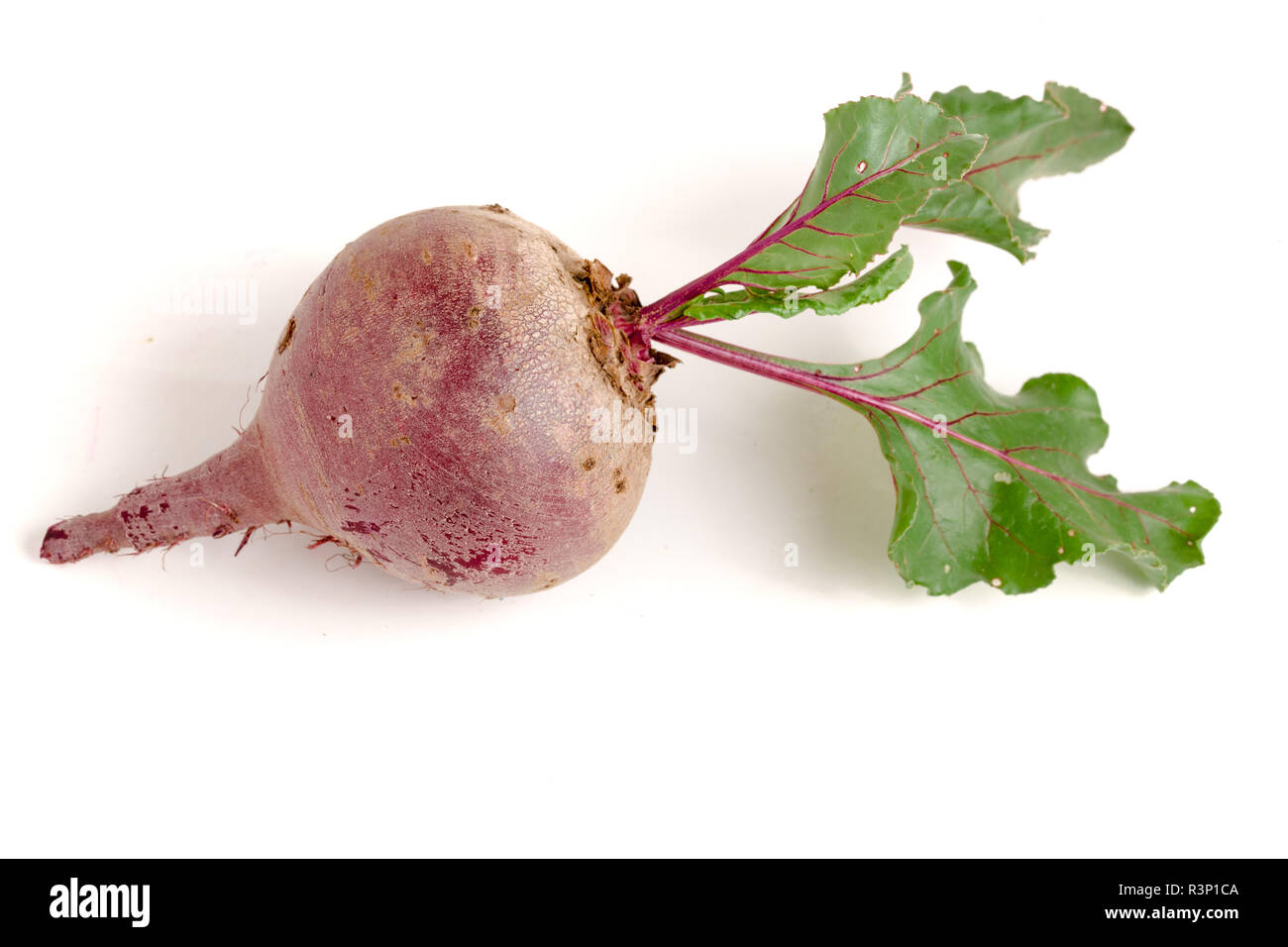 Rote Bete mit Blatt auf weißem Hintergrund Stockfoto