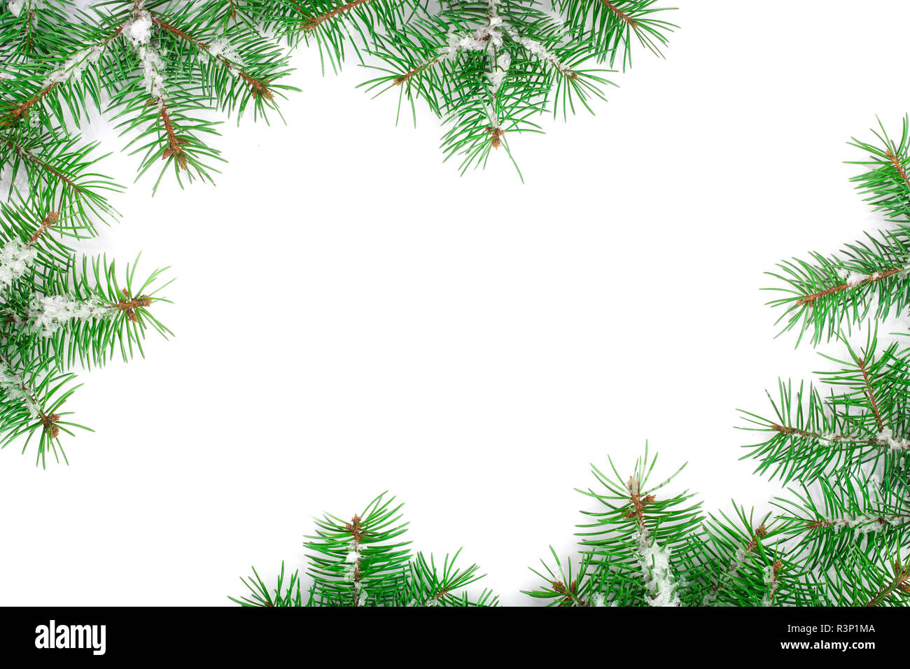 Weihnachten Rahmen der Fir Tree Branch mit Schnee auf weißem Hintergrund mit Kopie Platz für Ihren Text isoliert. Ansicht von oben Stockfoto