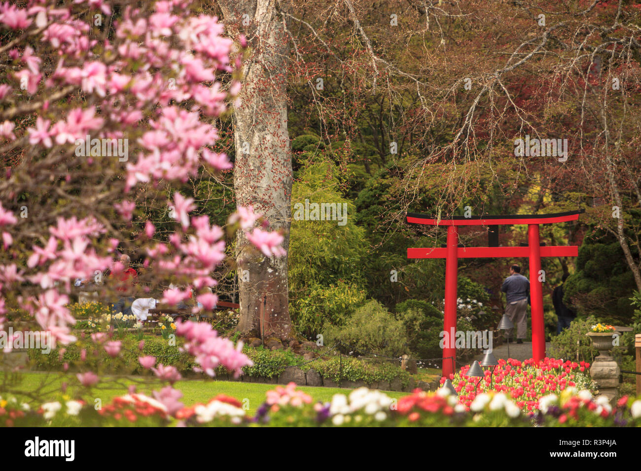 Frühling Blumen, Butchart Gardens, Saanich Peninsula, Victoria, British Columbia, Kanada Stockfoto