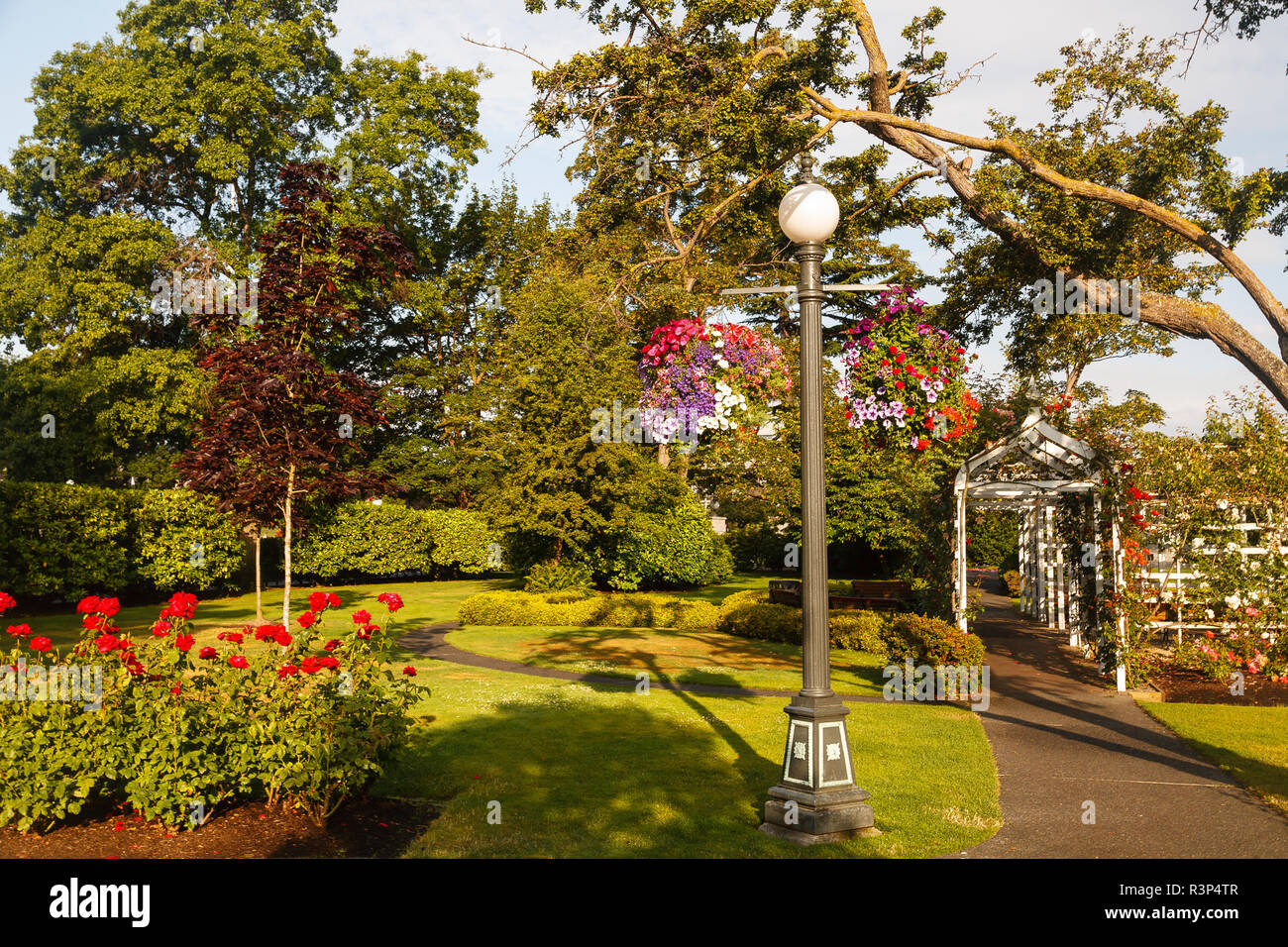 Rosengarten im Empress Hotel, Inner Harbour, Victoria, British Columbia, Kanada Stockfoto