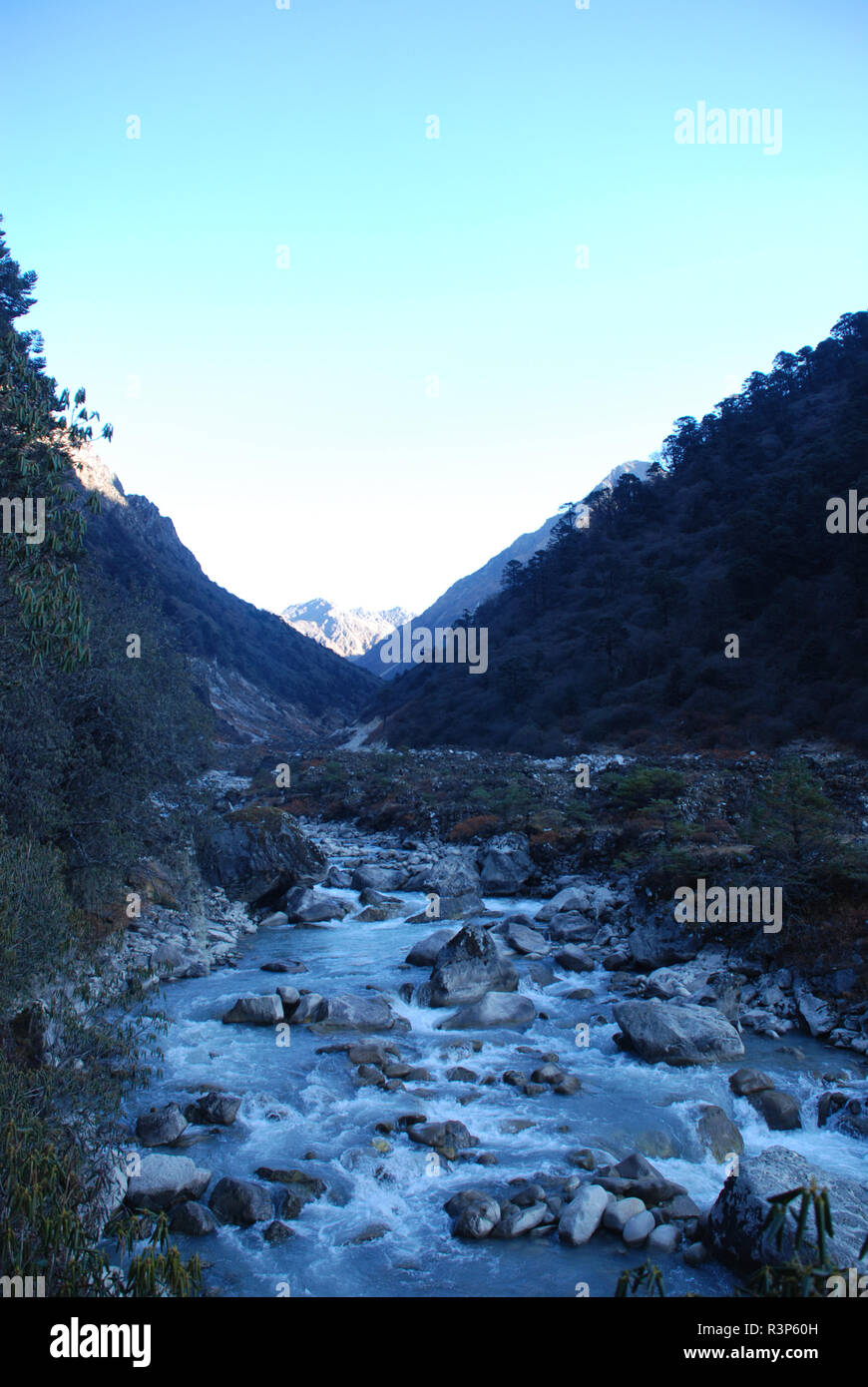 Die tamur River Valley im östlichen Nepal Stockfoto