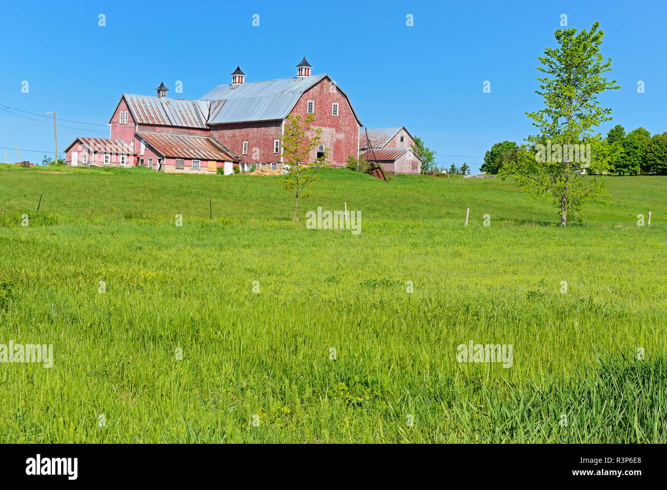 Kanada, New Brunswick, Harvey. Verblasste rote Scheune und Wiese. Stockfoto