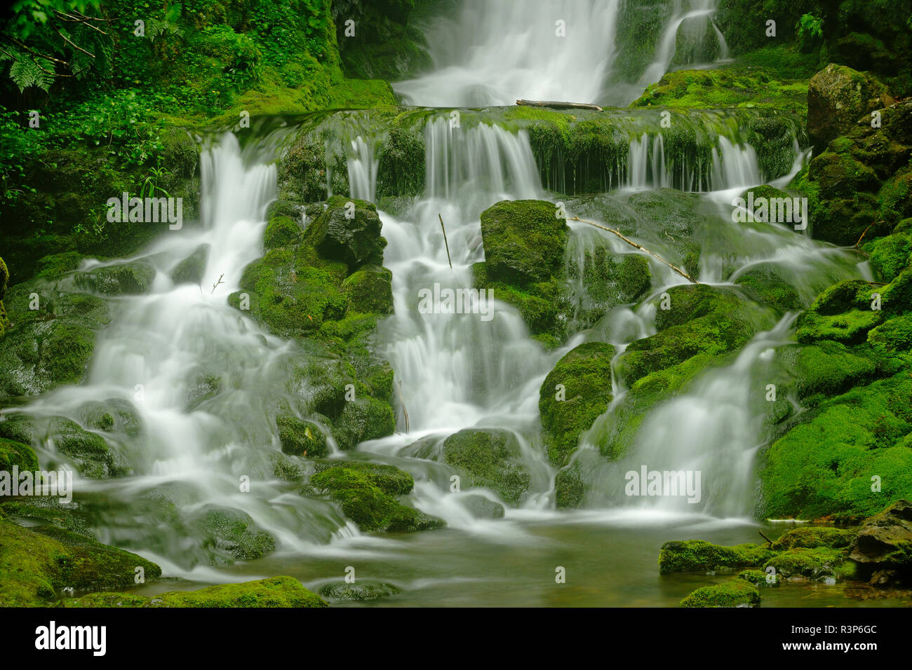 Kanada, New Brunswick Fundy National Park. Dickson Creek Wasserfall. Stockfoto