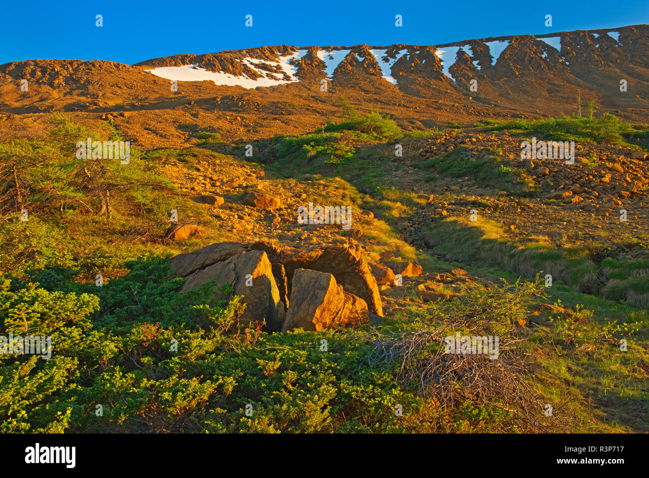 Kanada, Neufundland, Gros Morne National Park. Die tablelands Landschaft. Stockfoto