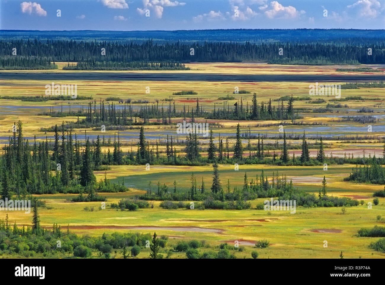 Kanada, Northwest Territories, Wood Buffalo National Park. Salz Ebene und Wald landschaft. Stockfoto