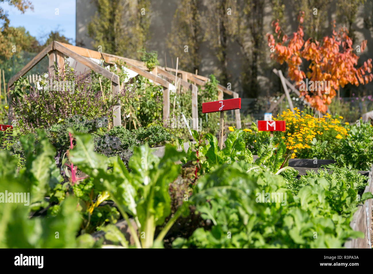 Gewächshaus mit gemÃ¼sebeeet Urban Gardening Stockfoto