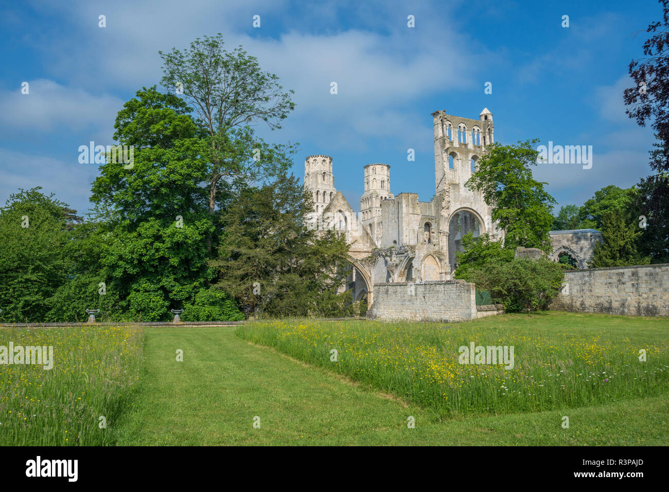 Jumièges Abbey, Jumièges, Normandie, Frankreich Stockfoto