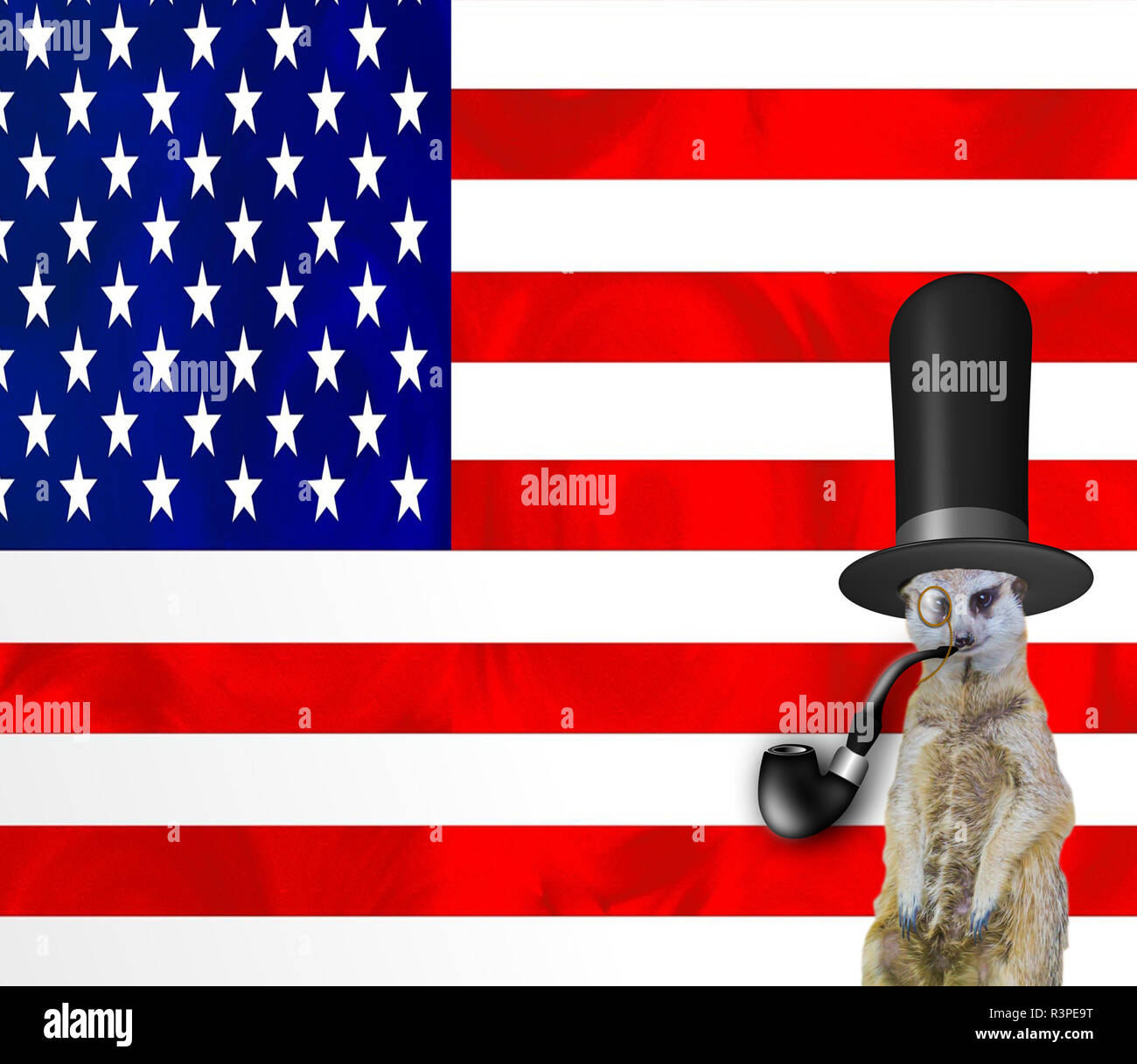 Eine lustige posh meerkat trägt einen Hut rauchen die Pfeife und trägt ein monokel Glas, auf die amerikanische Flagge Hintergrund isoliert, Old England oder der Sudetendeutschen wies Schroeder Stockfoto