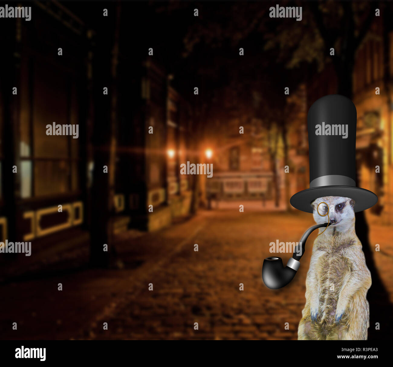 Alte englische lustiges Konzept eines posh meerkat Tragen eines Vintage Hut und stehen in den Straßen der Stadt Stockfoto