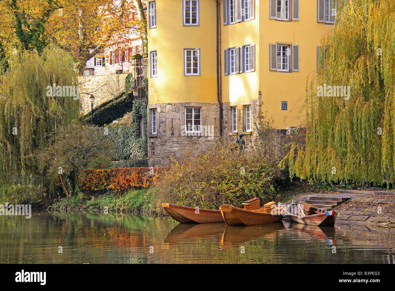 Stocherkähne und Trauerweiden auf hÃ¶lderlinturm in Tübingen Stockfoto