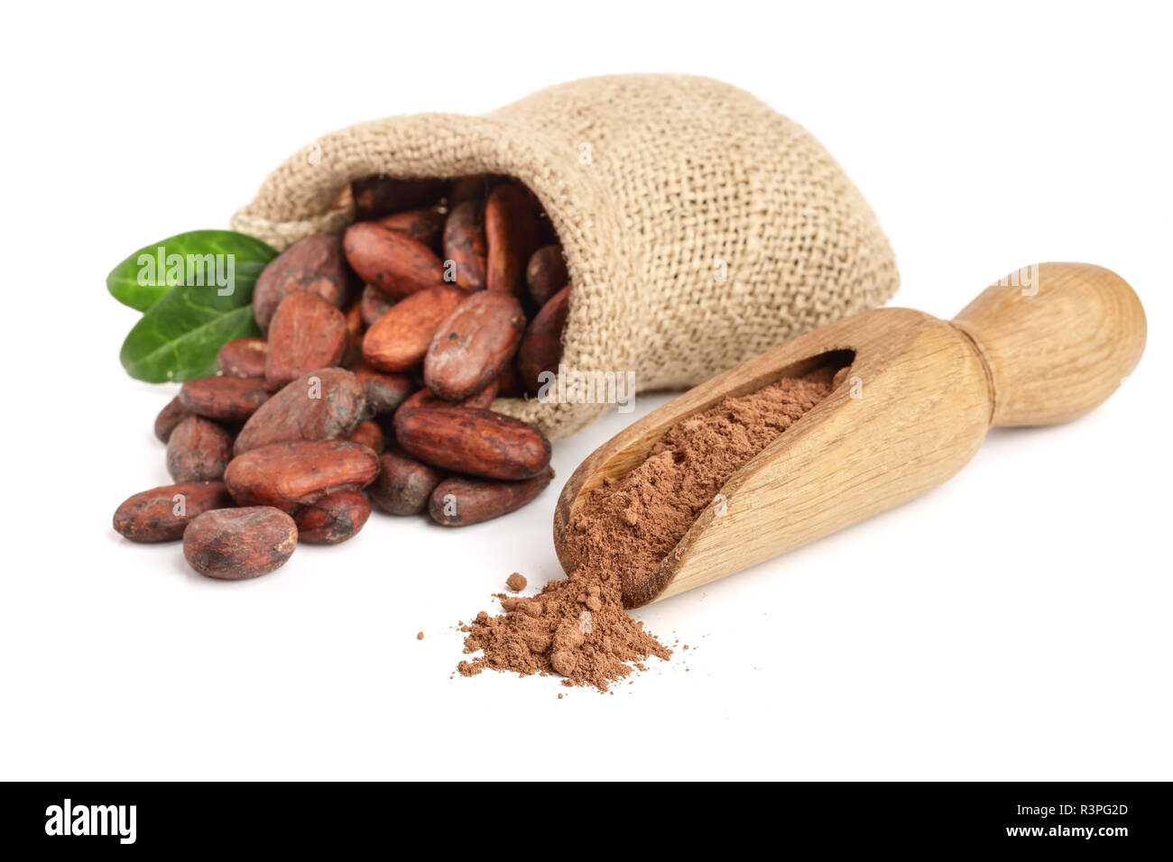 Kakaobohnen im Beutel mit Blättern und Kakaopulver in Schaufel auf weißem Hintergrund Stockfoto