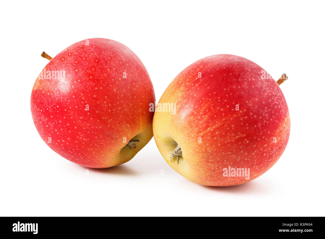 Äpfel. Frische Früchte auf weißem Hintergrund Stockfoto