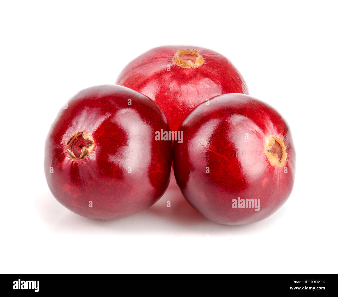 Cranberry isoliert auf weißem Hintergrund closeup Makro Stockfoto