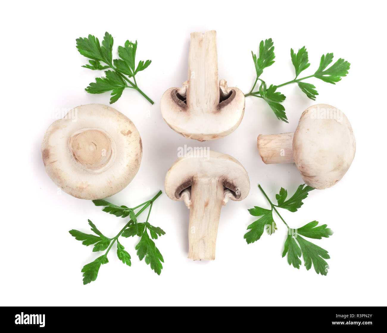 Pilze mit Petersilie Blatt auf weißem Hintergrund. top View Stockfoto