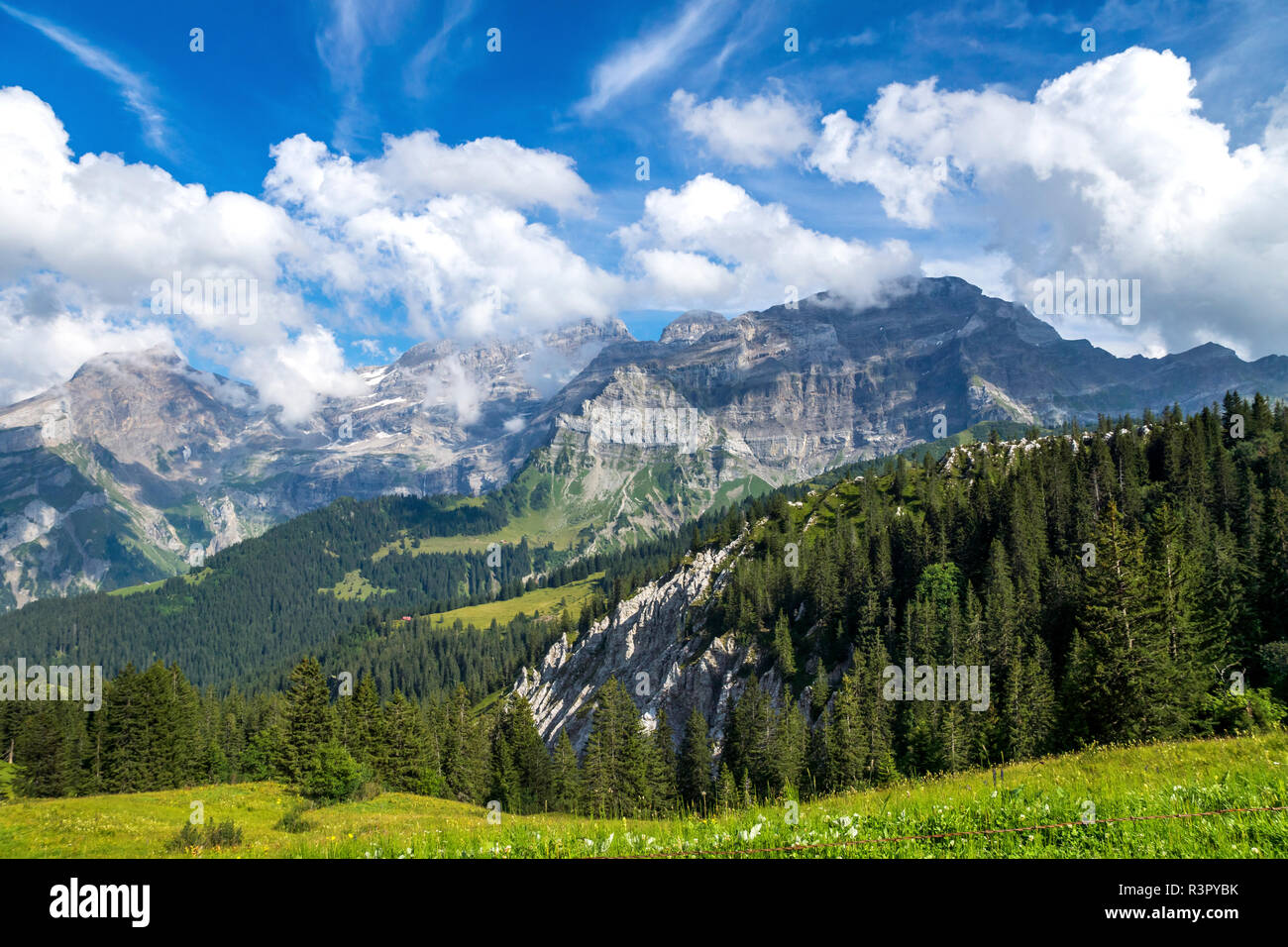 Schweiz, Fribourg, Bergkette in der Nähe von Montbovon Stockfoto