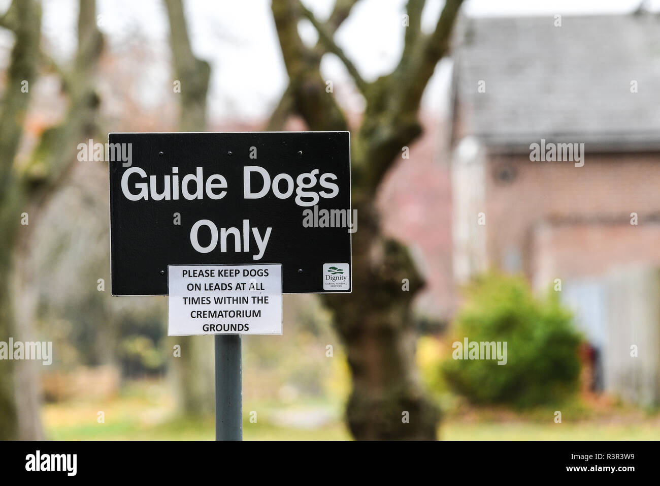 Nur Blindenhunde Zeichen Stockfoto