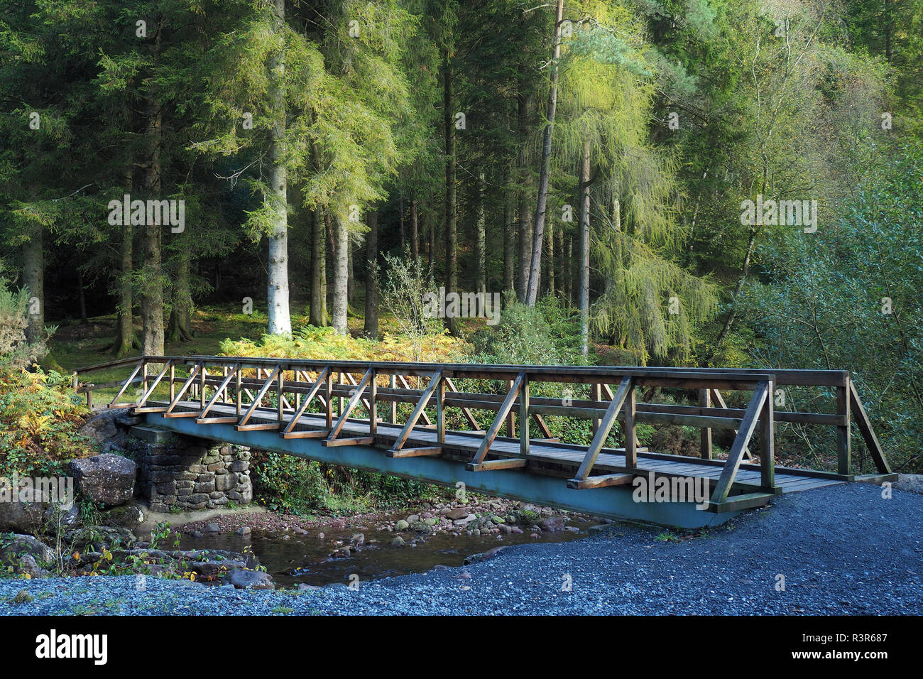 Holz- Brücke über den Fluss im Burncourt Glengarra Woods, Cahir, Tipperary, Irland Stockfoto