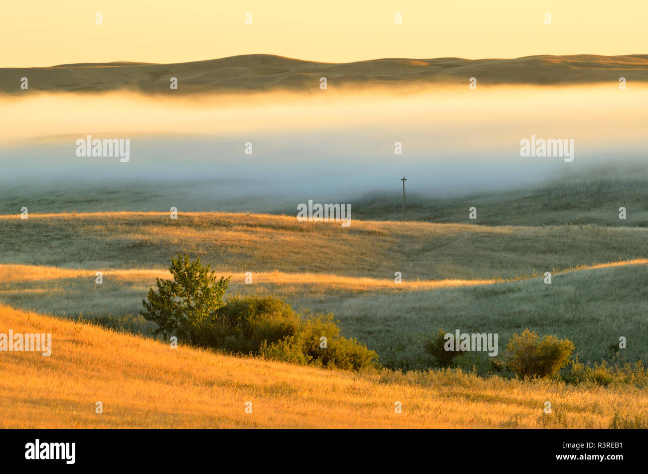 Kanada, Saskatchewan, Beechy. Nebel über Prairie bei Sonnenaufgang. Stockfoto