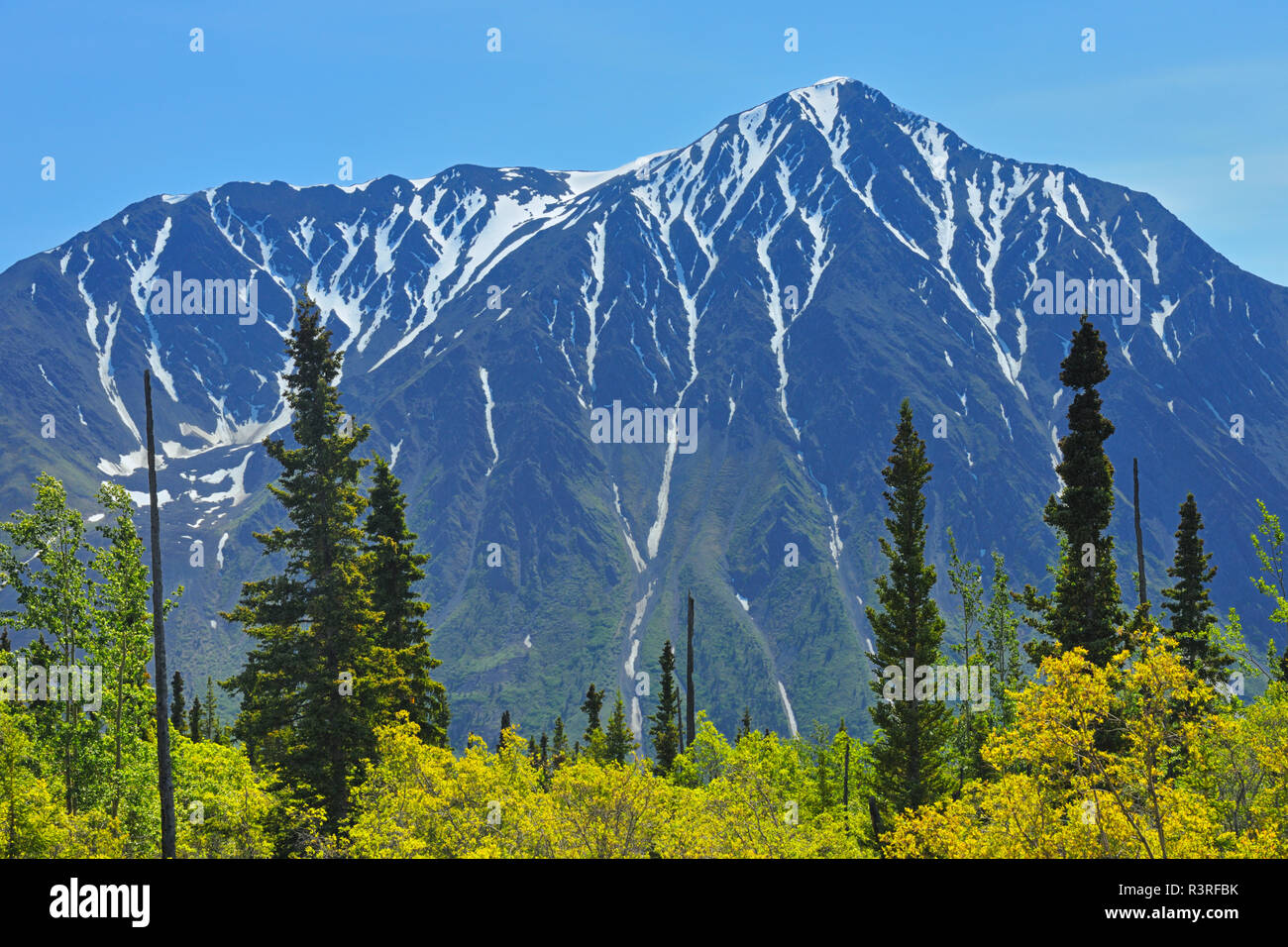 Kanada, Yukon. St. Elias Mountains und bewaldetes Tal. Stockfoto