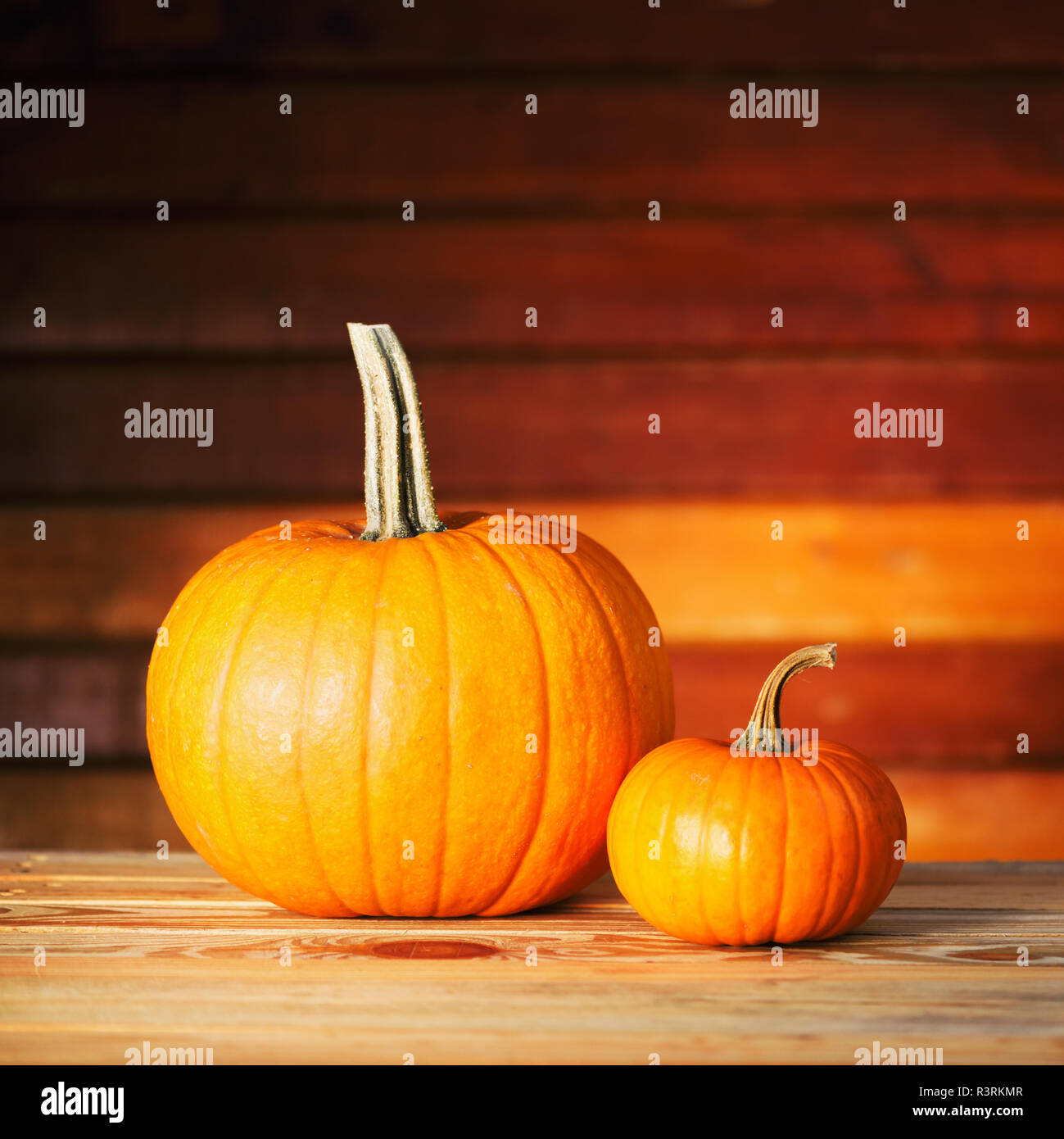 Zwei Kürbisse auf hölzernen Tisch. Halloween und Herbst essen Hintergrund Stockfoto